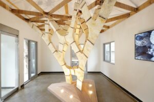 Ils savent : photo architecture de mycélium et bambou